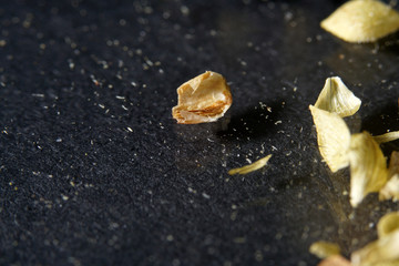 Oregano is commonly known today as pizza spice 