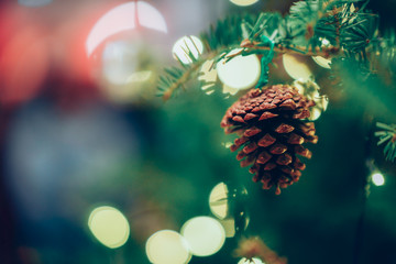 A pine on a Christmas tree background. Christmas ball blurry background lighting bokeh.