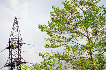 eco energy concept.high-voltage pole wires goes into the green deciduous tree