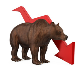 Bear with Arrow Down Isolated