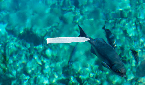 Baia dei Porci (Cuba) - piscina naturale in cui galleggia preservativo