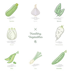 Healthy vegetables vector illustration