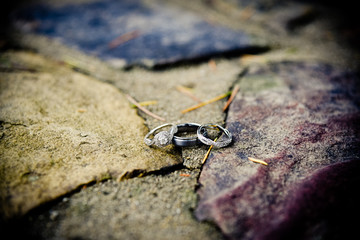 Wedding Rings on Colorful Rocks
