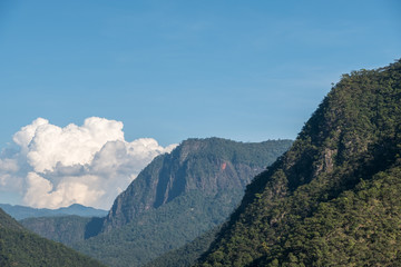 Large mountain with the rainforest.