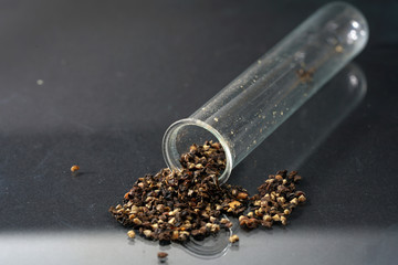 Pepper was a luxury item, but its importance was mainly because it can be used to make food durable for a long time.