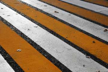 Fototapeta premium Modern yellow and white zebra crossing in the autumn Russian city