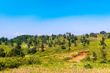 Obraz premium Picture Perfect Jharkhand, raisindri pahar