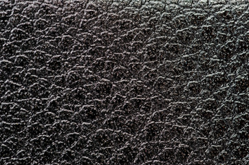 Texture of black genuine leather products closeup shot