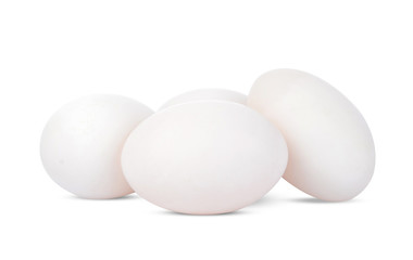 Duck egg isolated on white background.