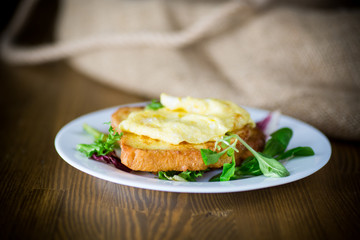 fried croutons in eggs with fried egg in a plate