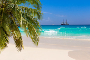 Turquoise wave of caribbean sea. Palm leaves