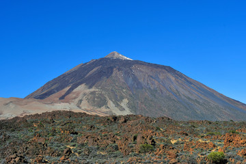 Fototapeta premium Spain, Canary Islands, Tenerife