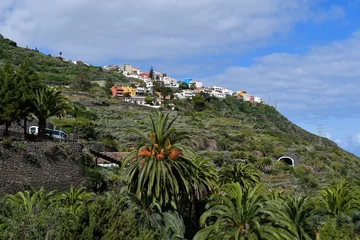 Zelfklevend Fotobehang Spain, Canary Islands, Tenerife, Icod de los Vinos © fotofritz16