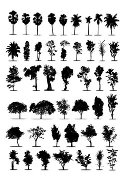 set of tree silhouettes on white background ,nature,vector illustration