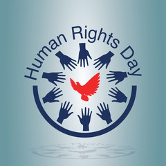 Human rights day freedom