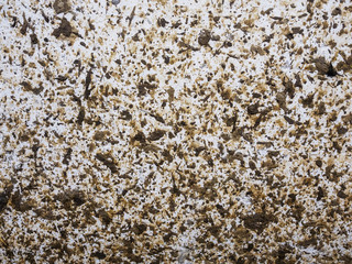 Manure texture on cowshed wall