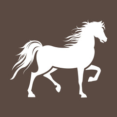 Obraz na płótnie Canvas Turkish Rahvan horse vector drawing