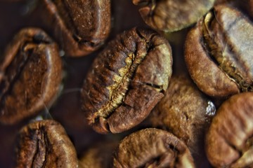 coffee grains closeup macro