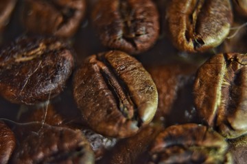 coffee grains closeup macro