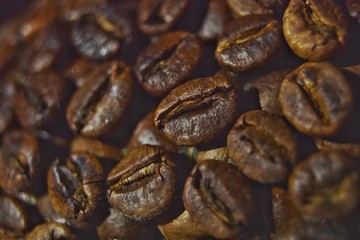 coffee grains closeup macro