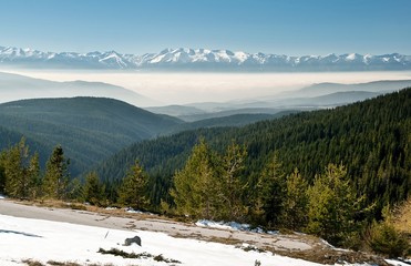 Beautiful winter panoramic landscape. The white snowy peaks of Pirin Mountains, viewed from Rila Mountains, coniferous pine forest, fog in the valley.