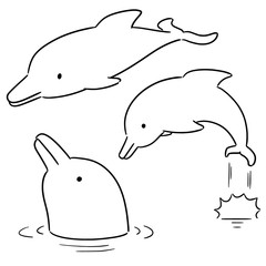 vector set of dolphin