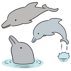 vector set of dolphin