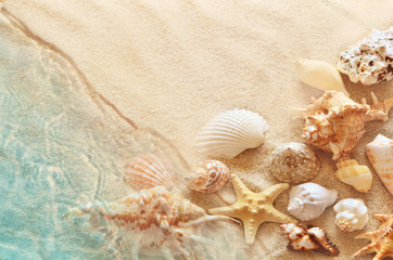 Starfish and seashell on the summer beach in sea water. Summer background. Summer time.