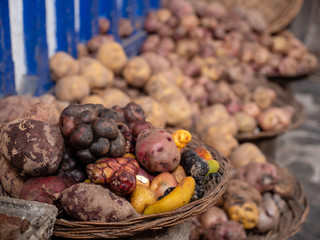 Different types of potatoes in Peru