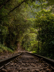 Obraz premium Train Tracks to Aguas Calientes in Peru Portrait