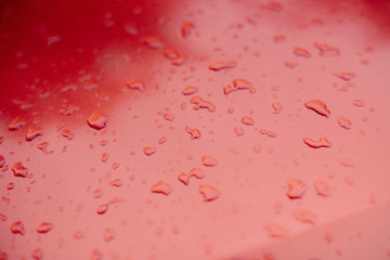 Living Coral drops of water on a glossy surface.