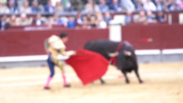 Man bullfighter dressed in bullfighting costume. Defocused image.