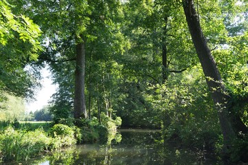 Obraz premium Spreewald 2