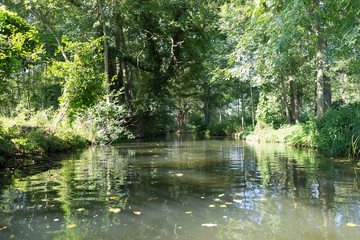 Spreewald 3