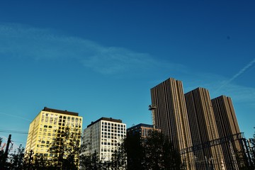 high skyscrapers and buildings