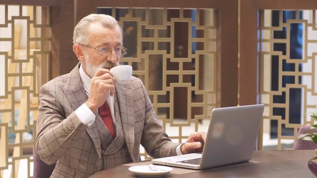 Eldely male successful scientist dressed in formal grey suit, working on laptop, searching important details of work, has confident serious expression, sitting at cafe table with cuo of coffee