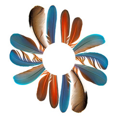 circle from feathers