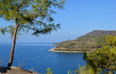 Mediterranean mountains and pines Mountain sea coastline view