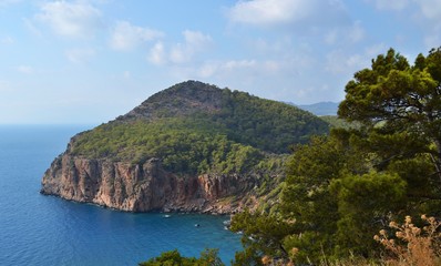 Mountain sea trees view. Mountain sea coastline view.