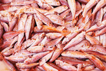Fresh red snapper fish in basket in seafood market. Toned in living coral color. Color of the year 2019.