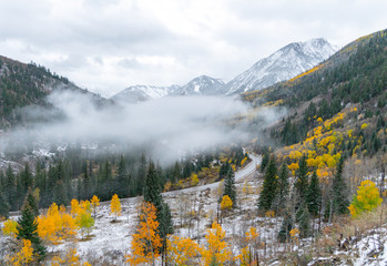 The American Rocky Mountains of Colorado are a beautiful site when the aspens turn yellow in autumn...