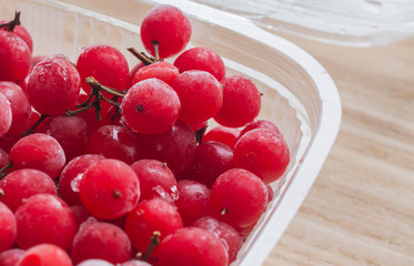 Heap of frozen viburnum into container on wooden background. Front view. Health and vegetarian concept. Food photography concept