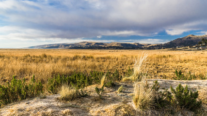 Frost on the shore of lake Titicaca
