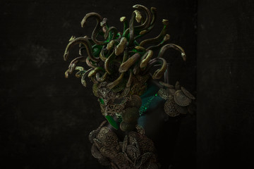 Medusa, creature of Greek mythology. pieces made by hand with goldsmiths and metals such as gold and copper. wears a helmet of green and gold snakes