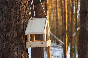 Wooden bird feeder in the forest. Close-up. Background. Landscape.