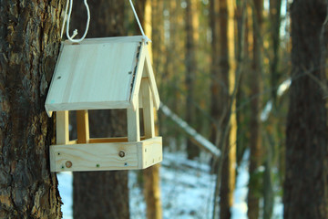 Wooden bird feeder in the forest. Close-up. Background. Landscape.