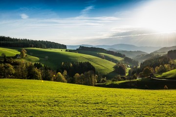 View of hilly landscape, teis forested, evening light, near St Margen, Black Forest, Baden-Wurttemberg, Germany, Europe