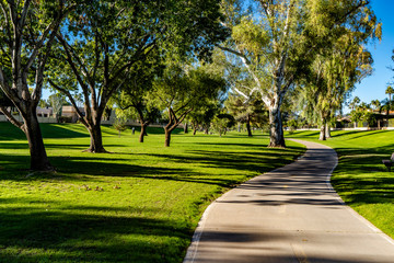 The path through the greenbelt in Scottsdale is a favorite venue for daily exercise