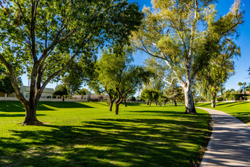 Fototapeta na wymiar A view of the greenbelt in Scottsdale, Arizona, a lovely walkway for all