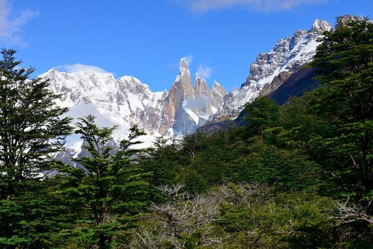 View through forest on Cerro Torre and Cerro Adela, Los Glaciares National Park, El Chalten, Province of Santa Cruz, Argentina, South America